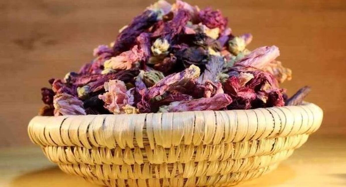 طرز تهیه دمنوش گل ختمی برای رفع سرفه‌های شدید و درمان سرماخوردگی