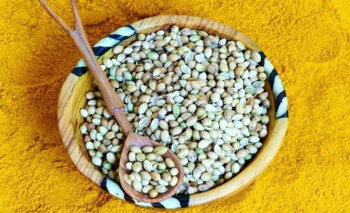 رفع زردی شدید نوزادان با استفاده از ترنجبین