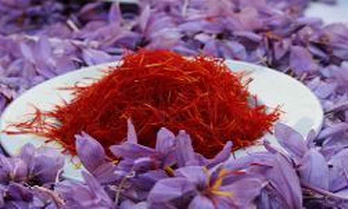 زعفران ارزان شد