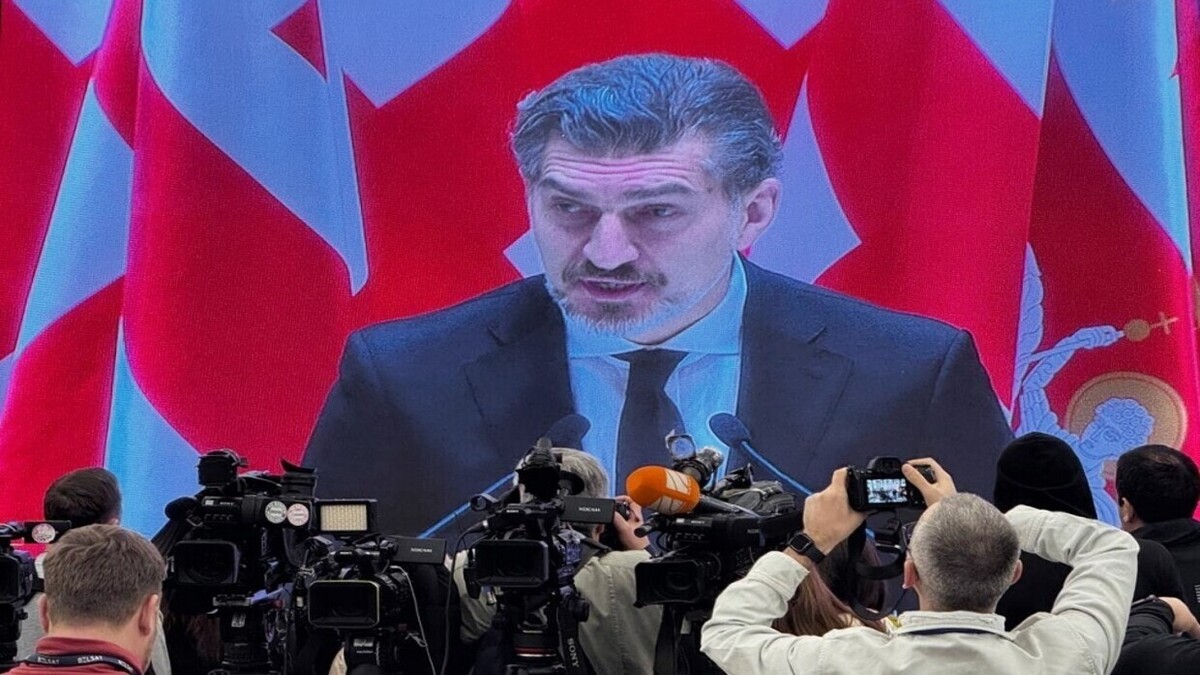 رئیس جمهور جدید گرجستان قانونی را امضا کرد که برخی اقدامات را در تجمعات ممنوع می‌کند