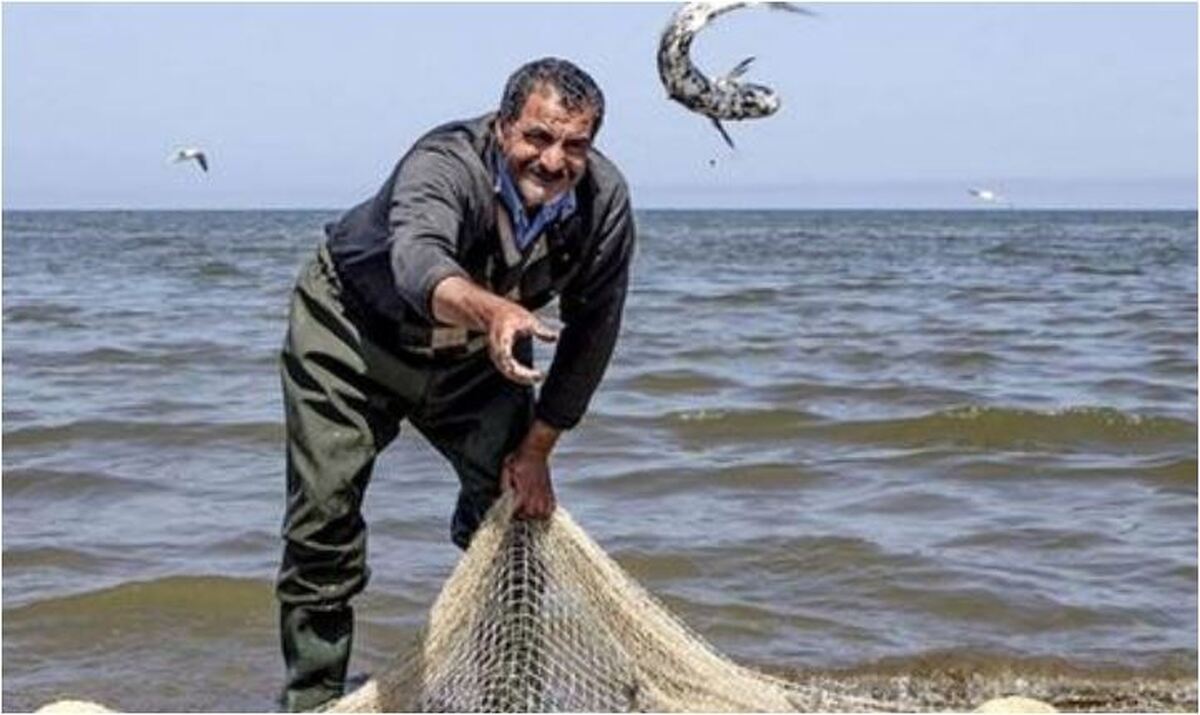 ماهیگیری در محدوده دریای خزر ممنوع اعلام شد