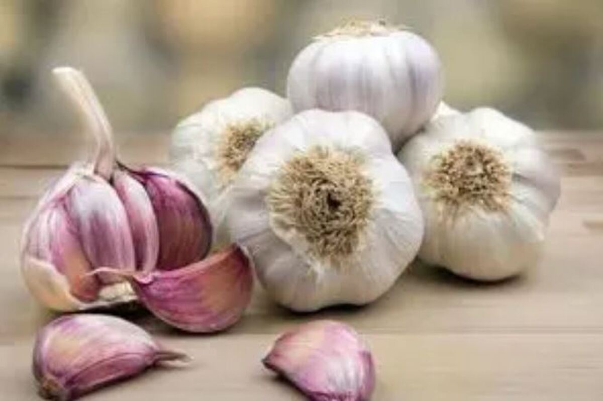 با آب سیر، سرماخوردگی را درمان کنید