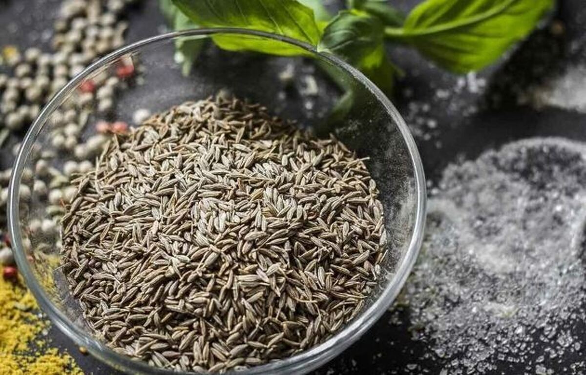 آیا می‌دانید مصرف بیش از حد زیره چه عوارضی برای سلامتی دارد؟
