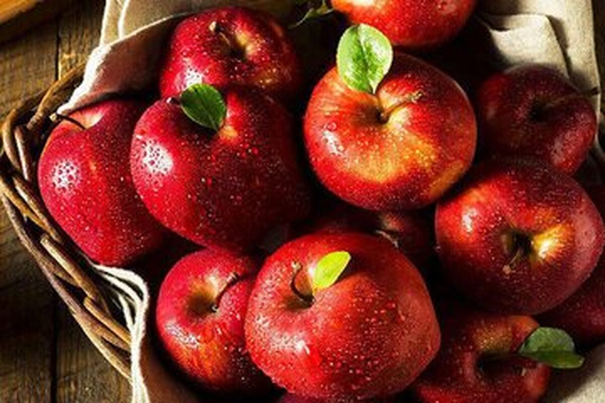 زیاده روی در خوردن دانه‌های سیب شما را مسموم میکند!