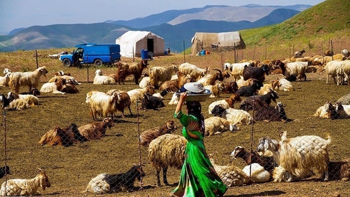 اعزام ۴۲ عشایری گیلان به مشهد مقدس