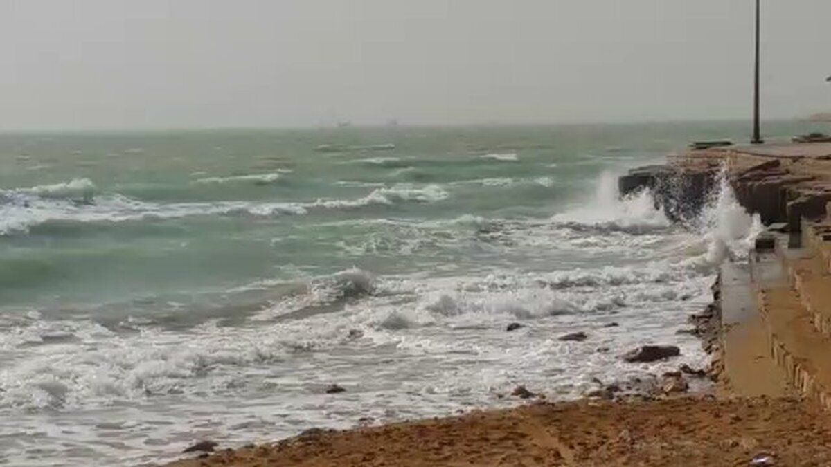 سواحل استان بوشهر متلاطم خواهد بود