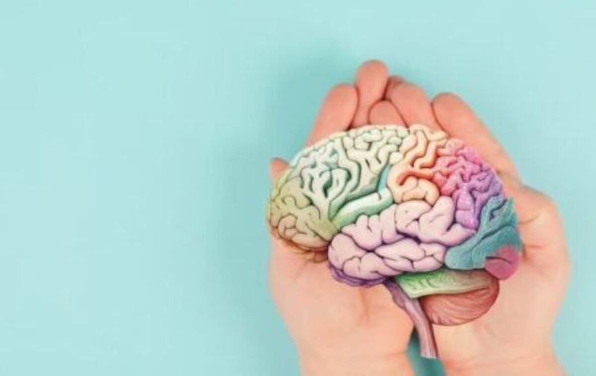 تاثیر مصرف آنتی بیوتیک‌ها بر سلامت مغز