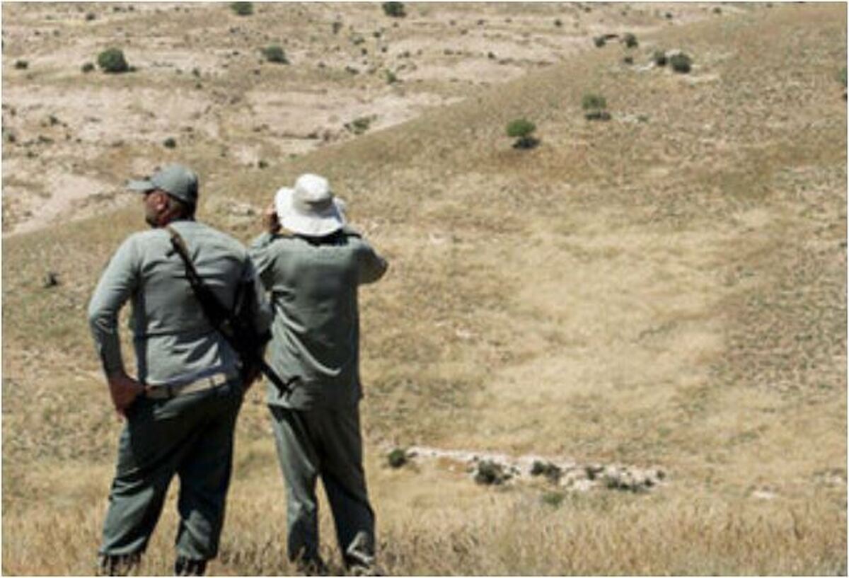 حکم محیط بان کرمانی که در درگیری فردی را کشته بود صادر شد