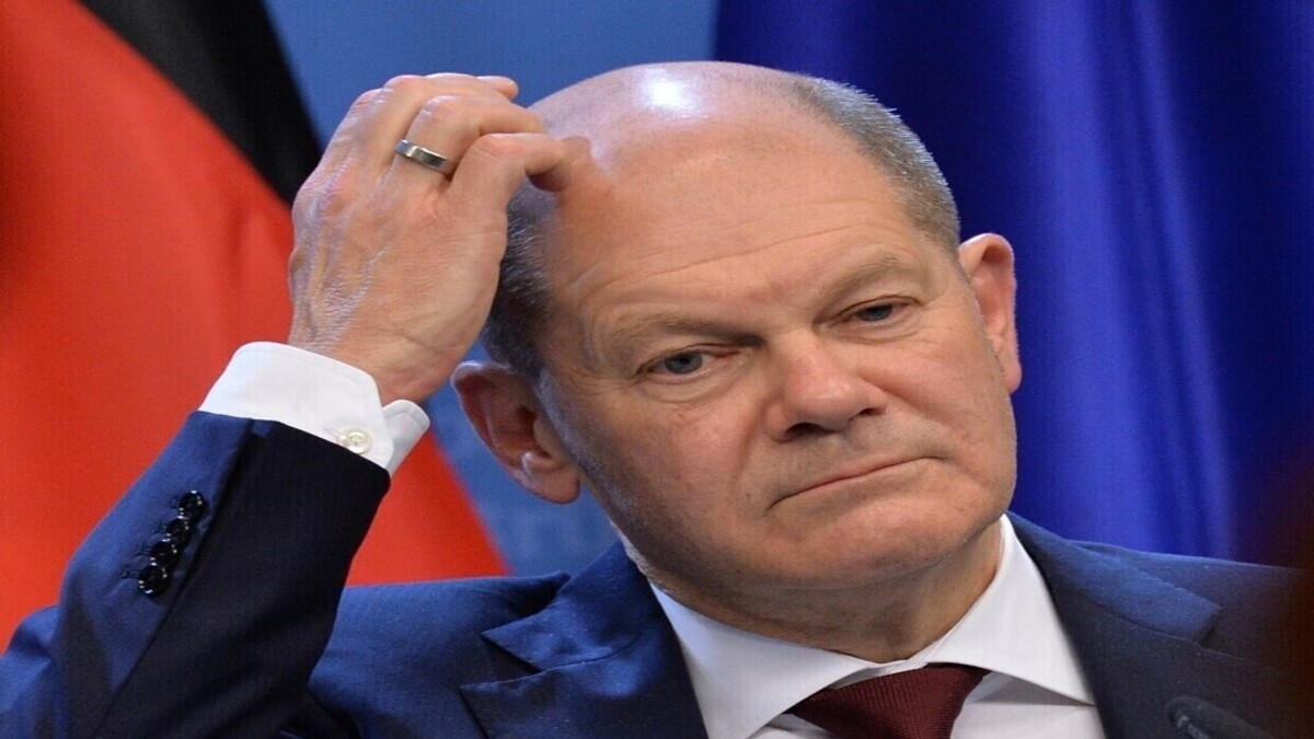 شولتز و هابک نسبت به حمایت ماسک از AfD ابراز نگرانی کردند