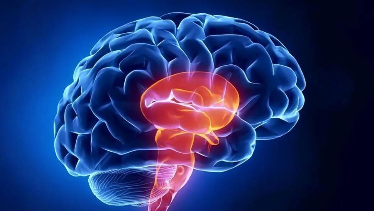 با این کار ساده و بدون خرج از خشکی مغز جلوگیری کنید