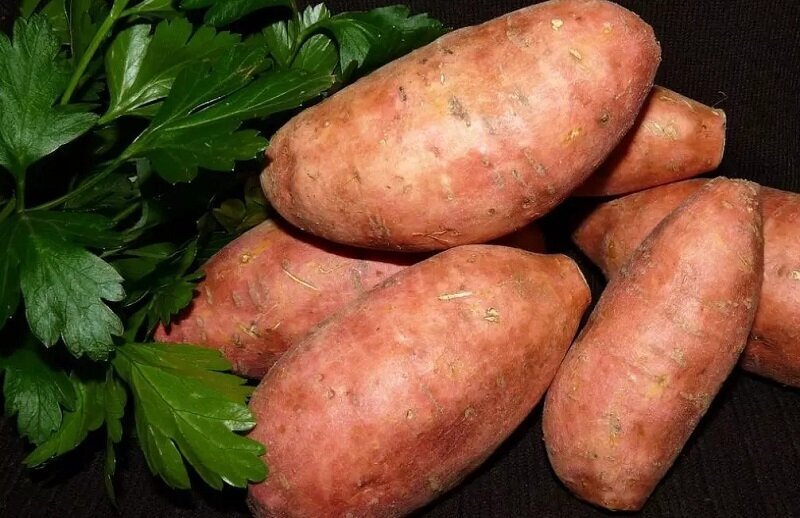 چشمان خود را با خوردن این سبزیجات بیمه کنید