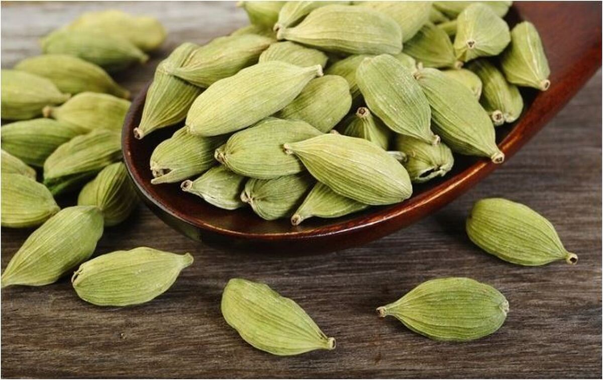 با خواص «هل» بیشتر آشنا شوید
