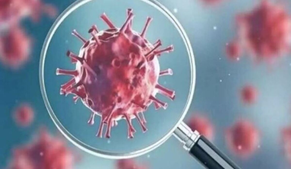 وزارت بهداشت مبتلا شدن دو بیمار به «متاپنوموویروس انسانی» را در جنوب هند اعلام کرد