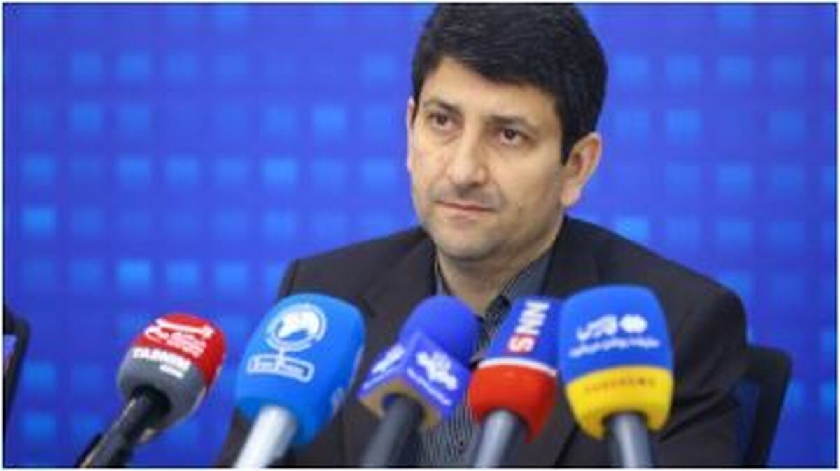 هاشمی: دستگاه‌ها داده‌ها را گران ولی ناقص جمع‌آوری می‌کنند