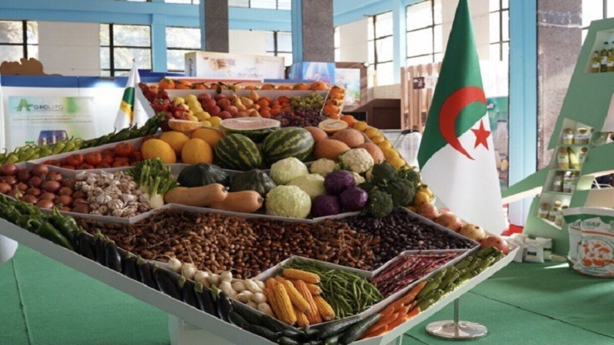 الجزایر اولین صادرات هوایی مواد غذایی به کانادا و کشور‌های اروپایی را آغاز کرد