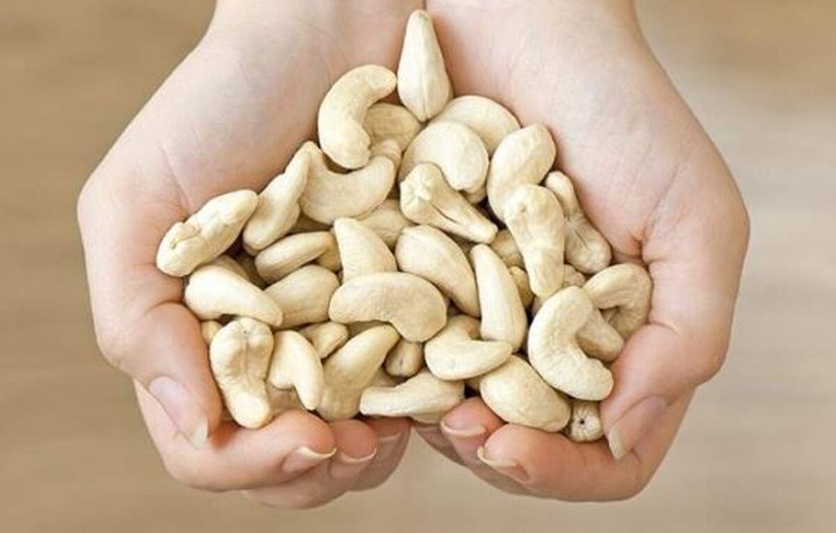 بررسی خواص تمام نشدنی بادام هندی برای گروه‌های سنی مختلف