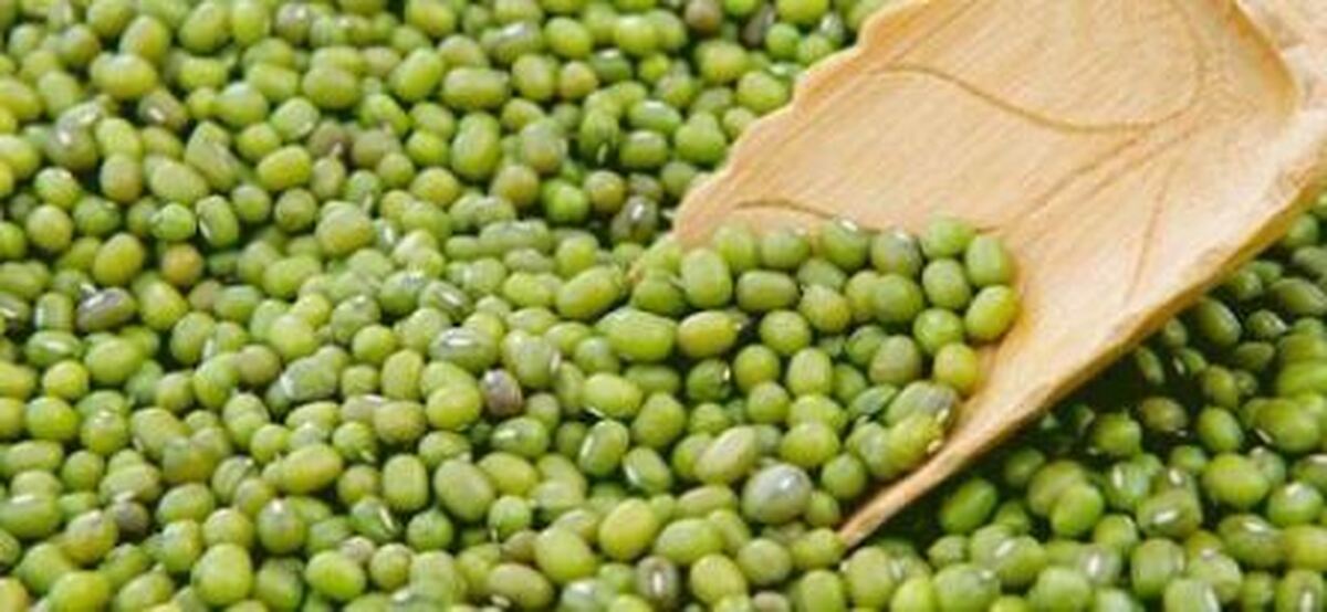 نحوه آماده‌سازی جوانه ماش و خواص آن