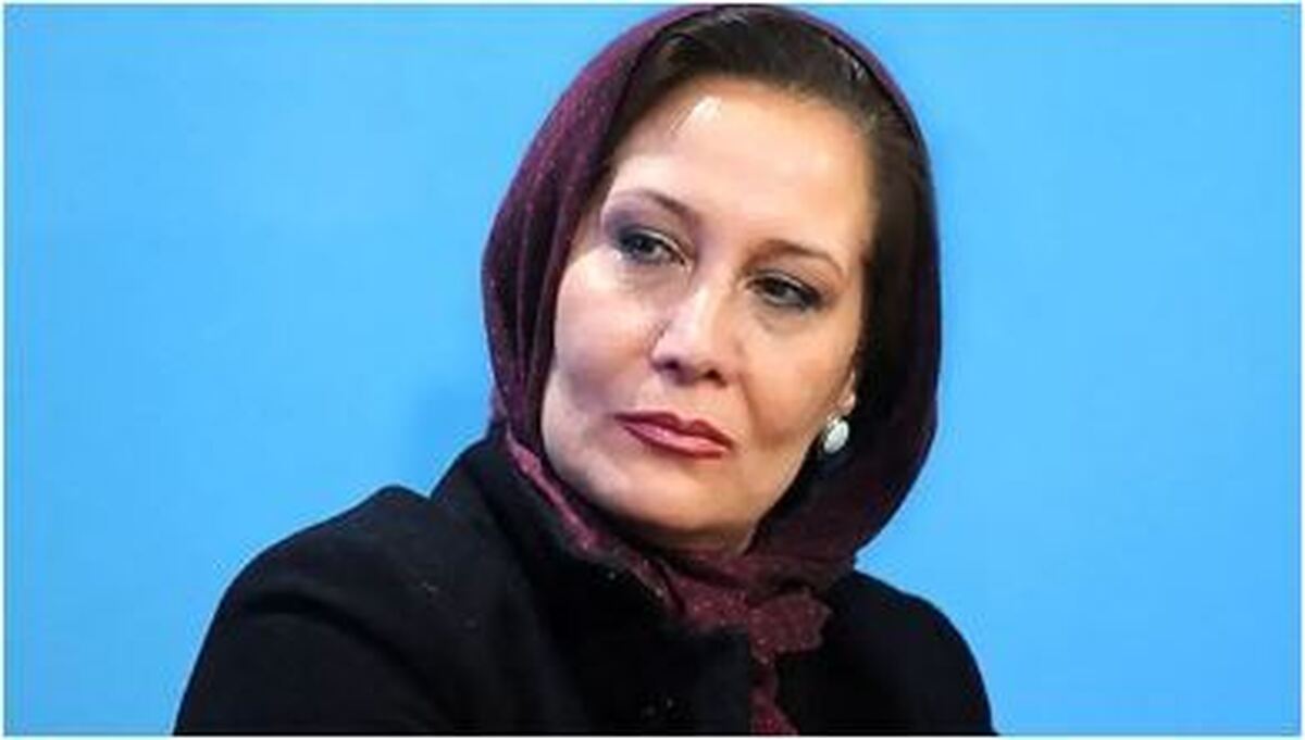 استوری خانم کارگردان در پی شفاف سازی ماجرای جنجالی فرودگاه مهرآباد+عکس