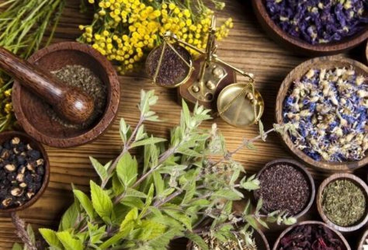 درمان‌های گیاهی و طبیعی برای درمان بیماری‌های دهانی