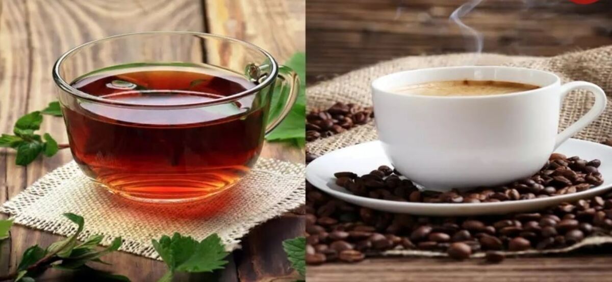 علت برتری چای نسبت به قهوه چیست؟