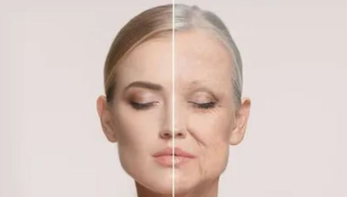 منیجه تلاش‌ها و تحقیقات برای دستیابی به اکسیر جوانی به کجا رسید؟