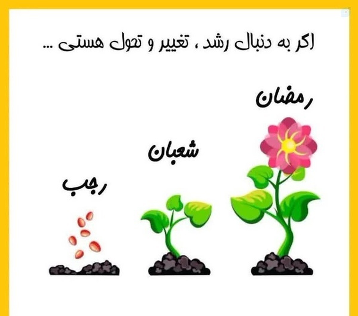 بعضی تصاویر، در عین سادگی، مفهوم بزرگی دارند!