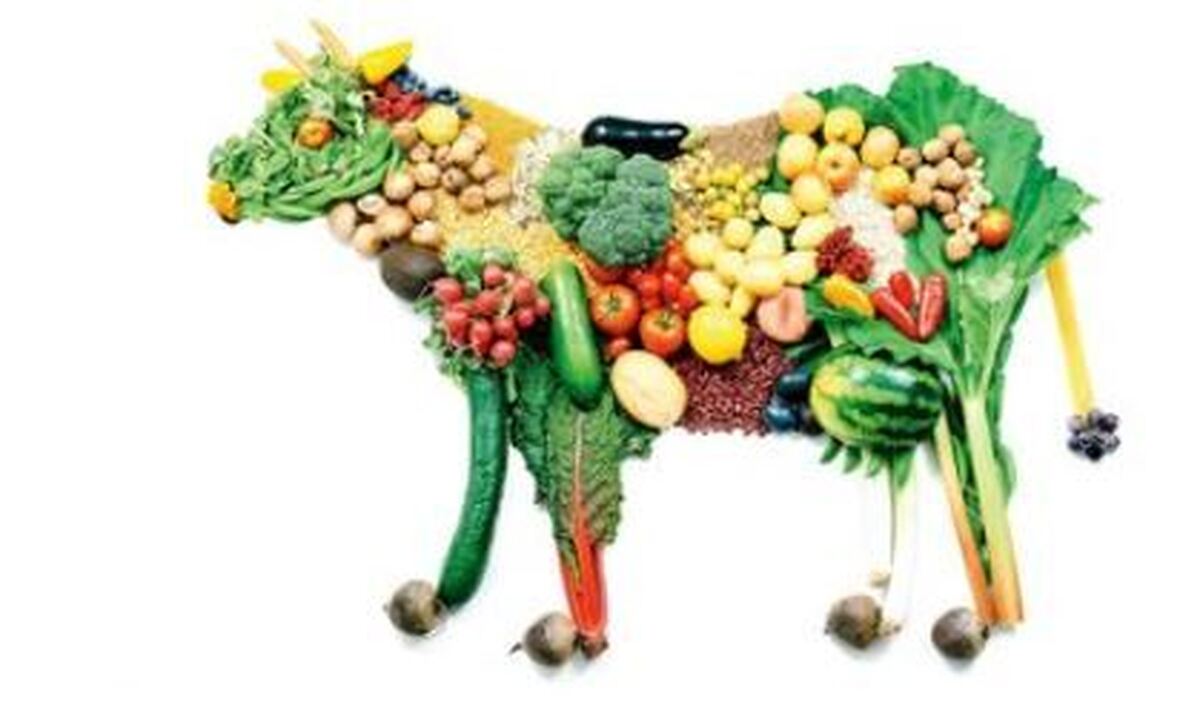 تغذیه و علاقه اجدادمان به گوشت خواری بوده یا گیاه خواری؟