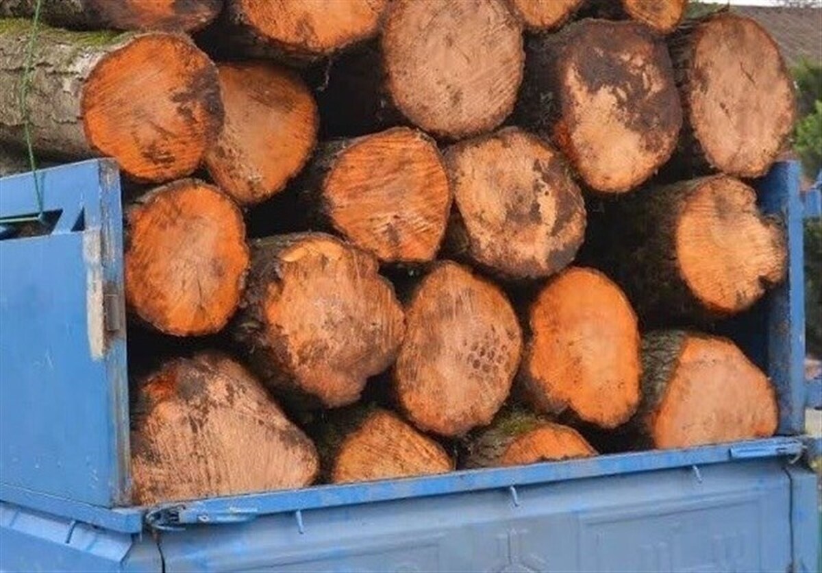 دستگیری ۱۲۱۷ توسط یگان حفاظت منابع طبیعی گیلان طی ۹ ماه