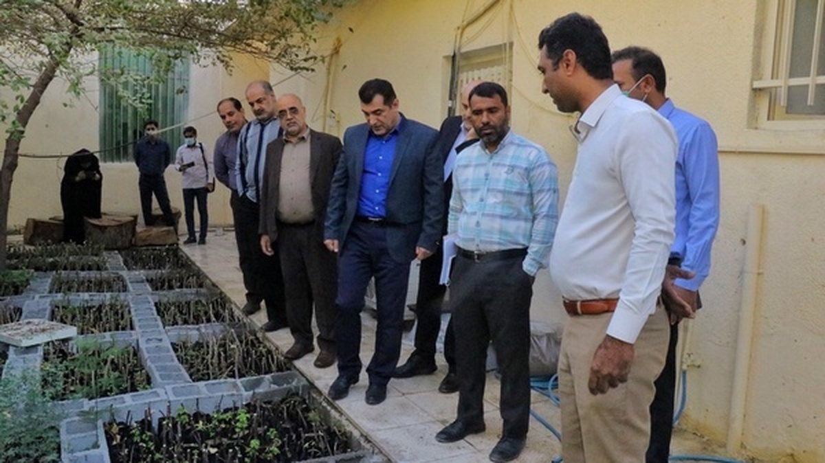بازدید رییس مرکز جنگل‌های خارج از شمال سازمان منابع طبیعی از نهالستان باغو بندرعباس