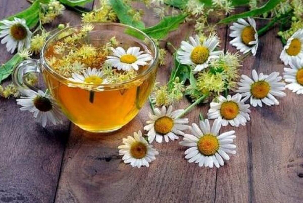 ادویه‌هایی که به تقویت حافظه کمک می‌کنند را بشناسید