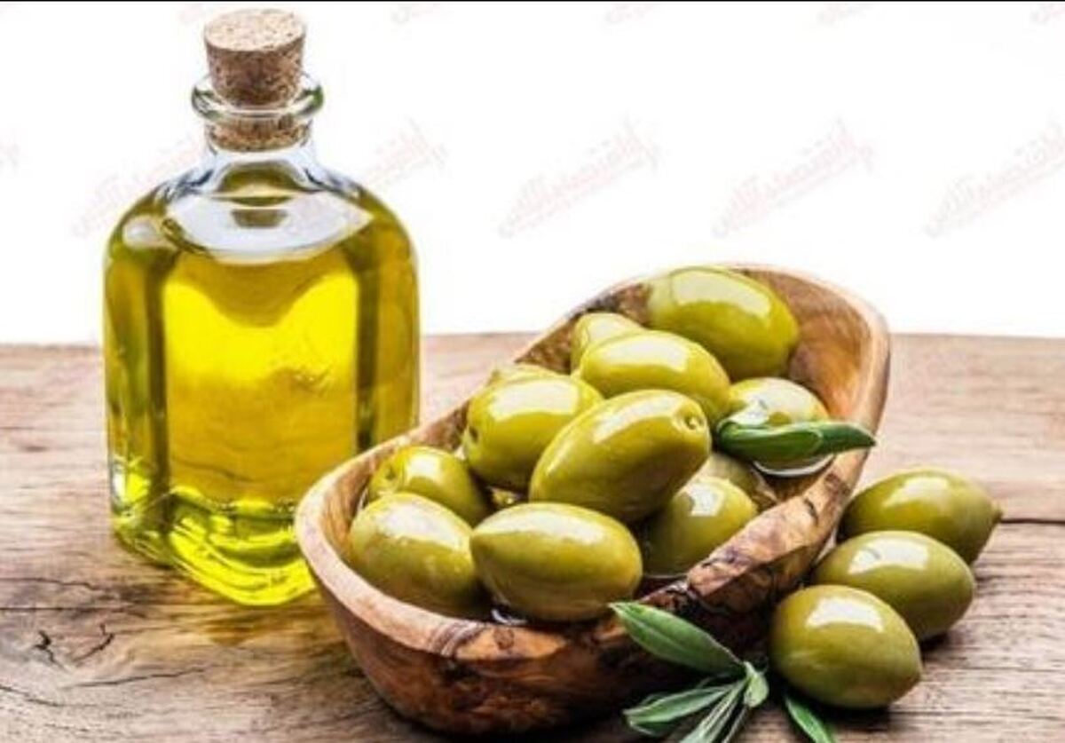 دلایلی که به لزوم مصرف زیتون اشاره می‌کنند را بدانید