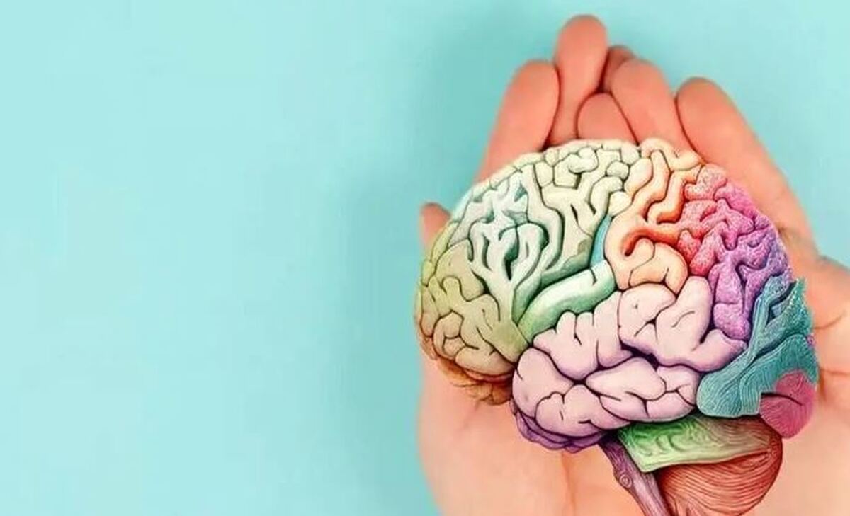 علائمی که نشان دهنده وجود تومور مغزی است