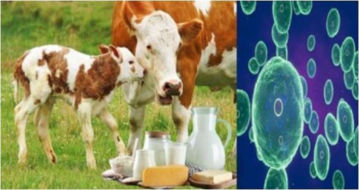 هشدار جدید وزارت بهداشت در مورد شیوع یک بیماری