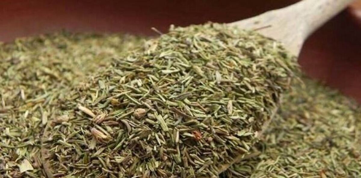 «آویشن» گیاهی خوش عطر و بو برای درمان زخم معده