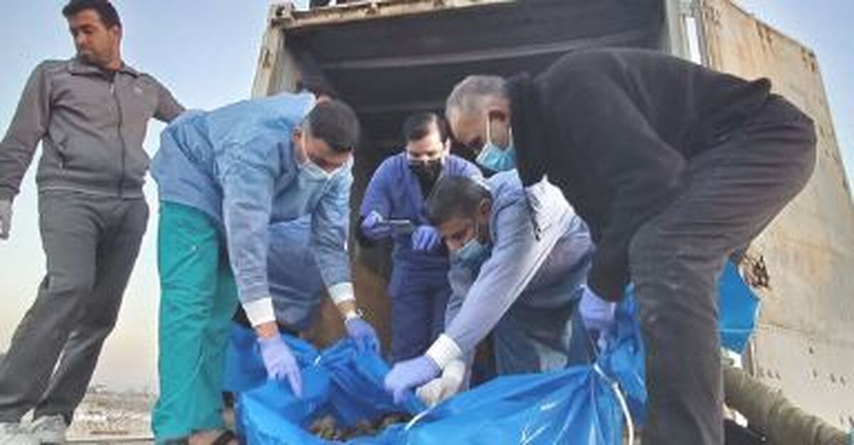 تبخیر شدن پیکر حدود ۸ هزار شهید فلسطینی در نوار غزه