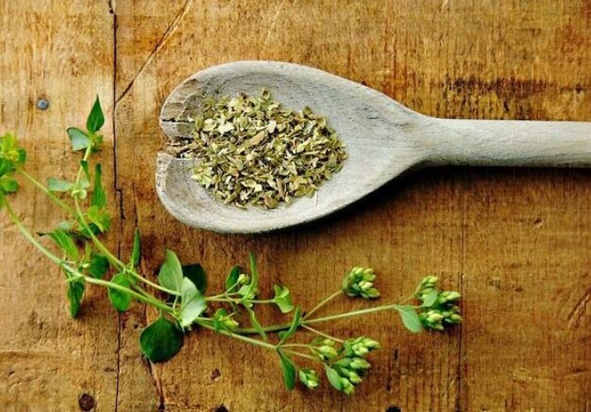 راهکار طبیعی و گیاهی برای تسکین درد‌های آرتروزی