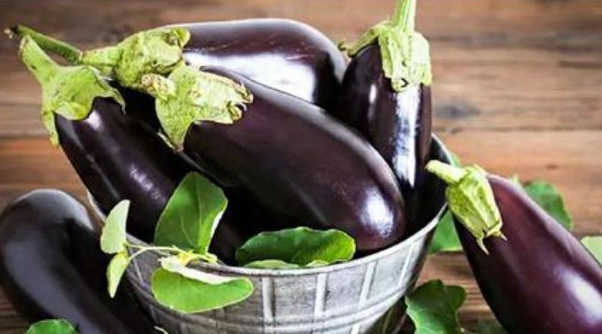 با مضرات و فواید بادمجان از دیدگاه طب سنتی آشنا شوید