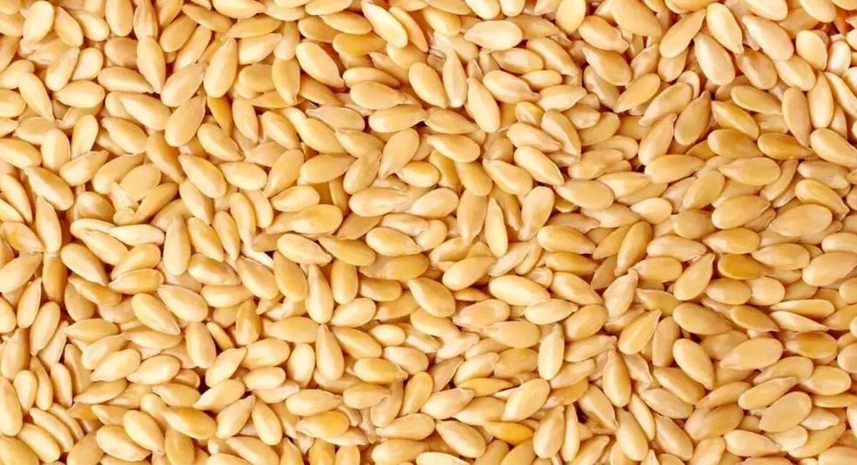 با مصرف این دانه قلب و استخوان‌ها را تقویت کنید