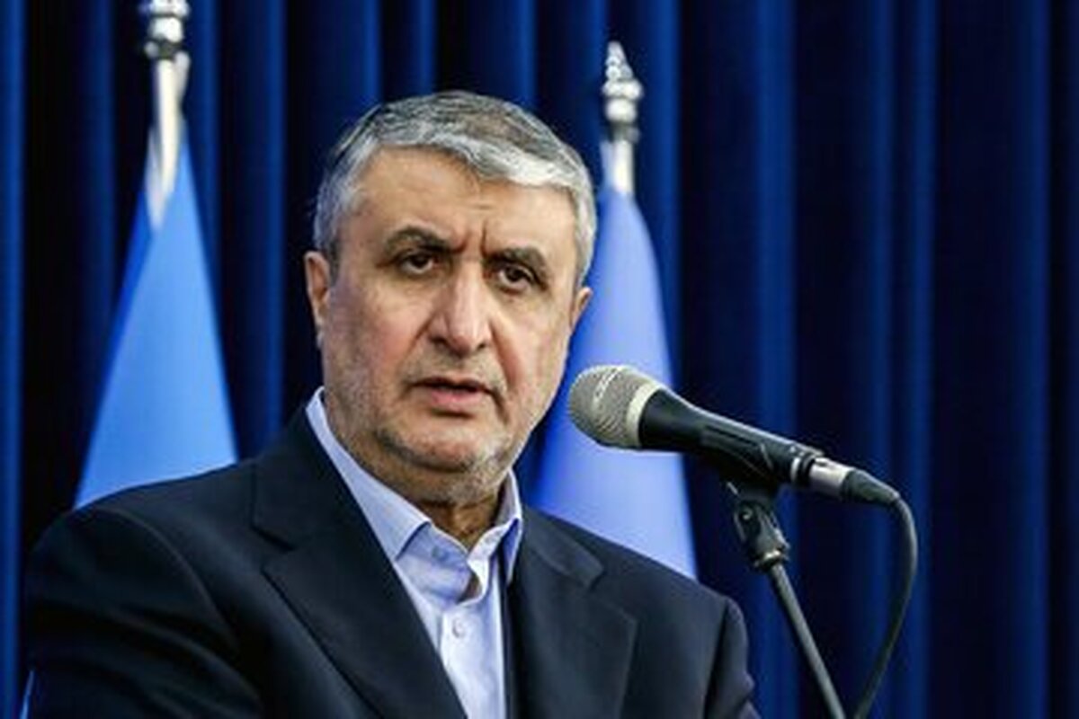 پیشرفت ۱۷ درصدی ساخت واحد‌های دوم وسوم نیروگاه بوشهر