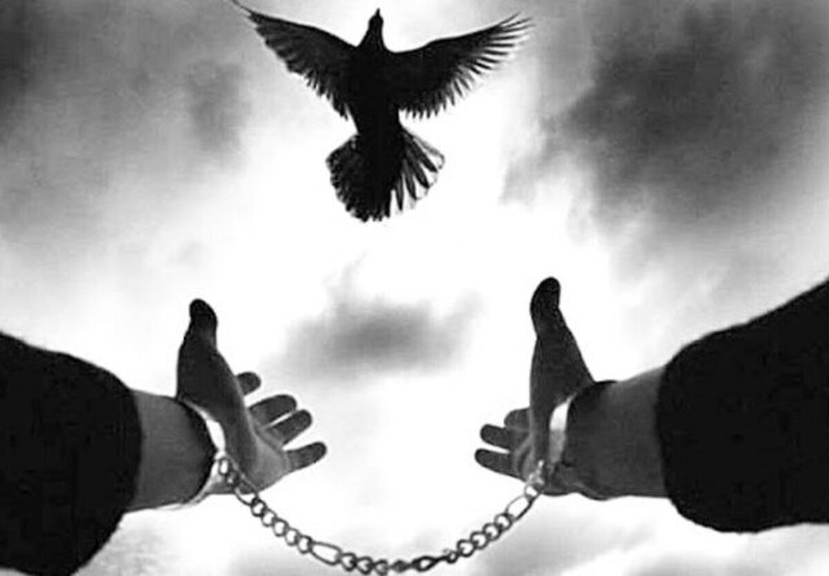 آزادی ۷ زندانی جرائم غیرعمد استان سمنان به مناسبت میلاد امام علی (ع)