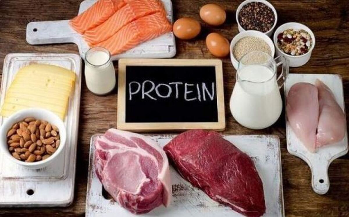 چرا به مصرف پروتئین تاکید زیادی می‌شود؟