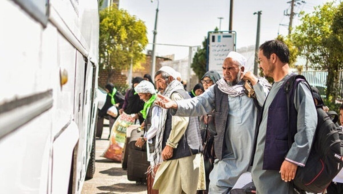 تاکید صالح جوکار به لزوم تدوین اساسنامه سازمان ملی مهاجرت توسط دولت