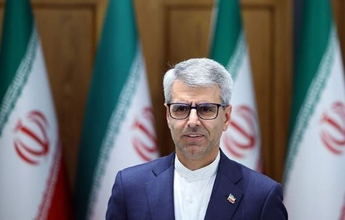 بقائی: رابطه ایران و تاجیکستان بهتر از هر زمانی است