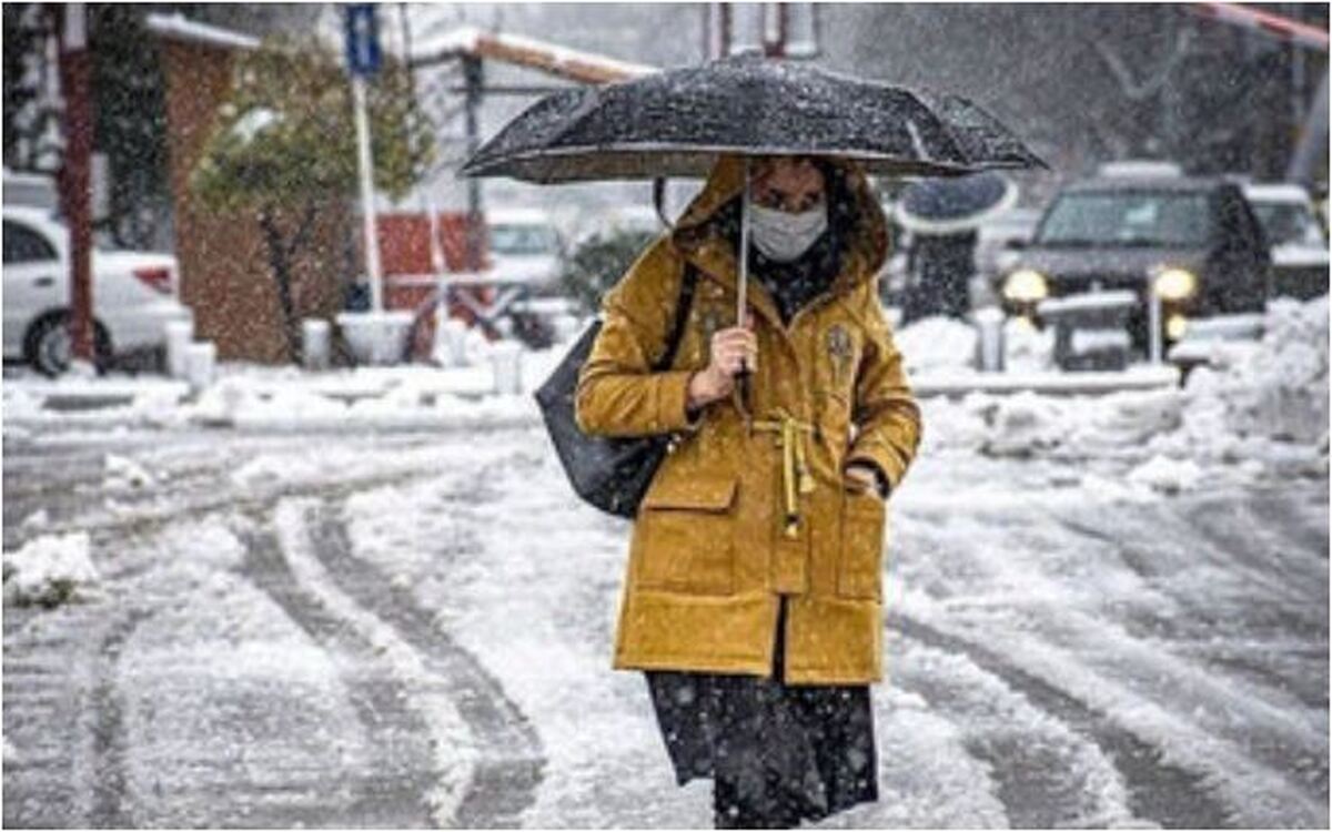 سرمای شدید پیش رو صدای این مسئول را در آورد