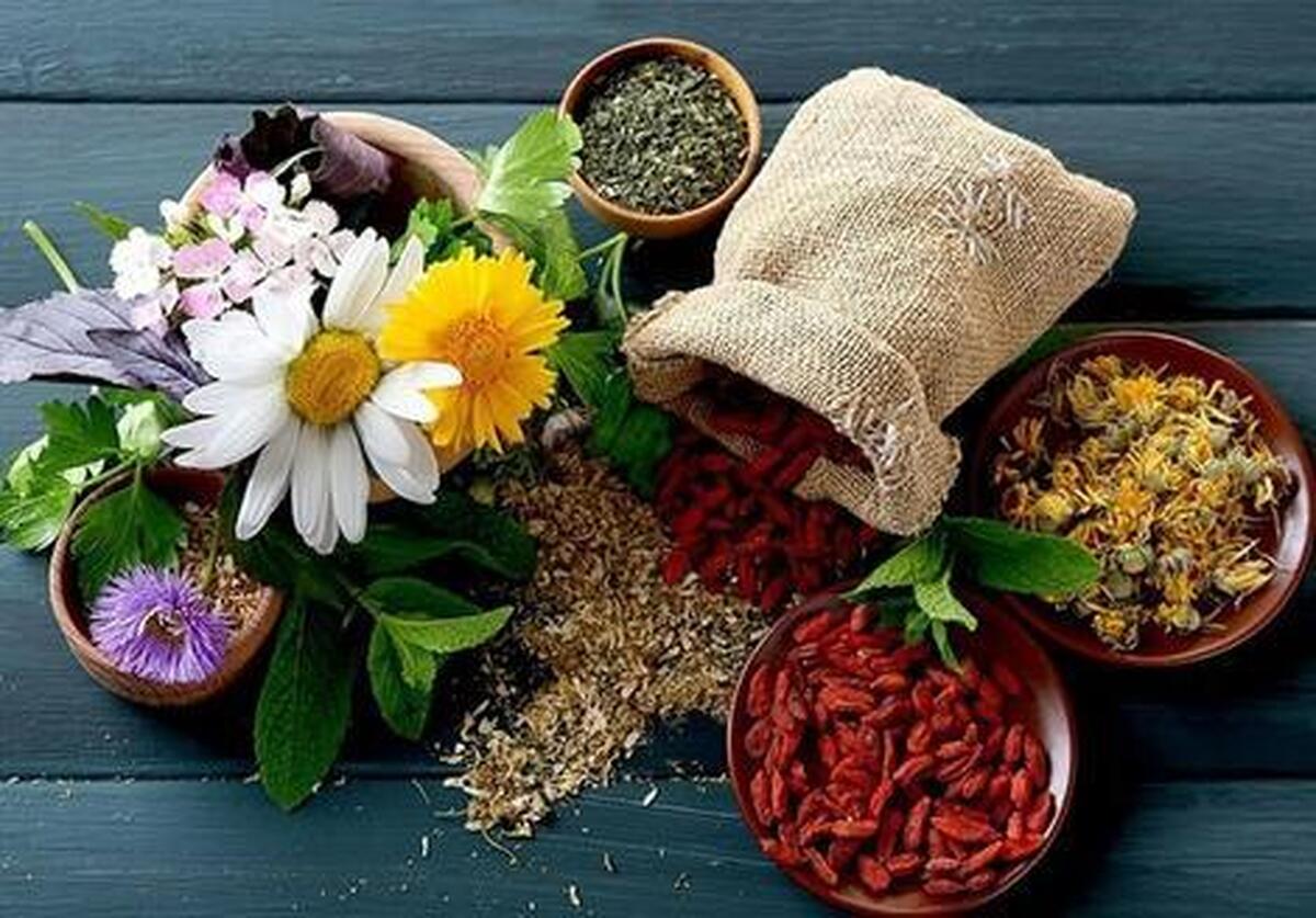 گیاهان دارویی که برای درمان‌های خانگی بهتر است داشته باشید!