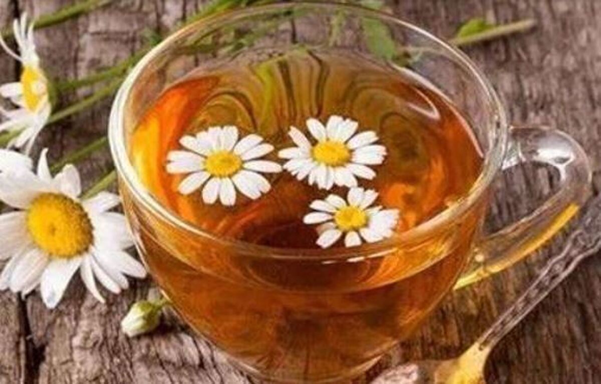 نکات مهم قبل از استفاده از بابونه که باید بدانید!