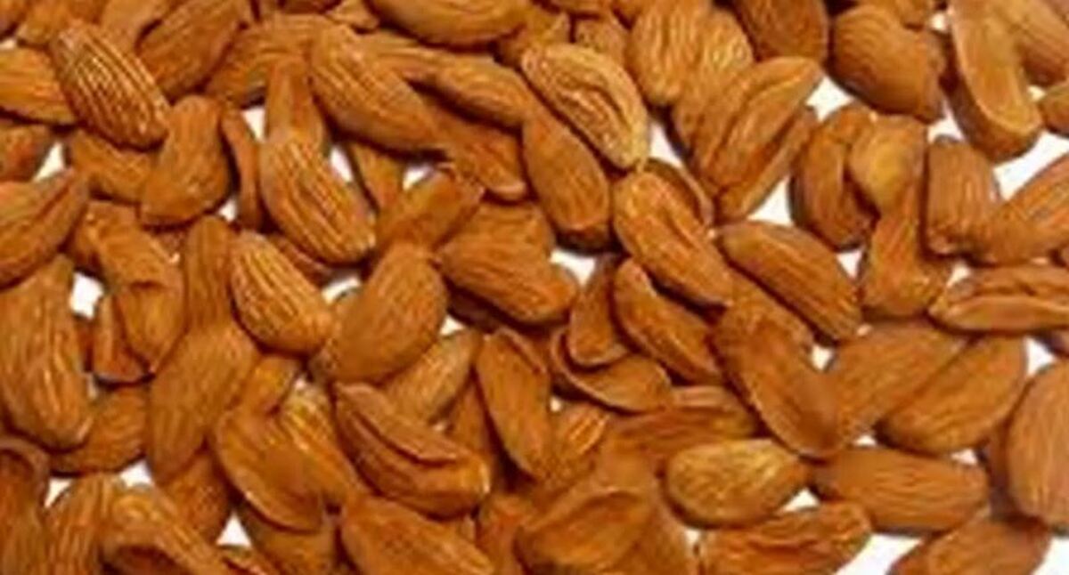 با مصرف روزانه چند عدد بادام، بدن را از این موارد بی نیاز کنید