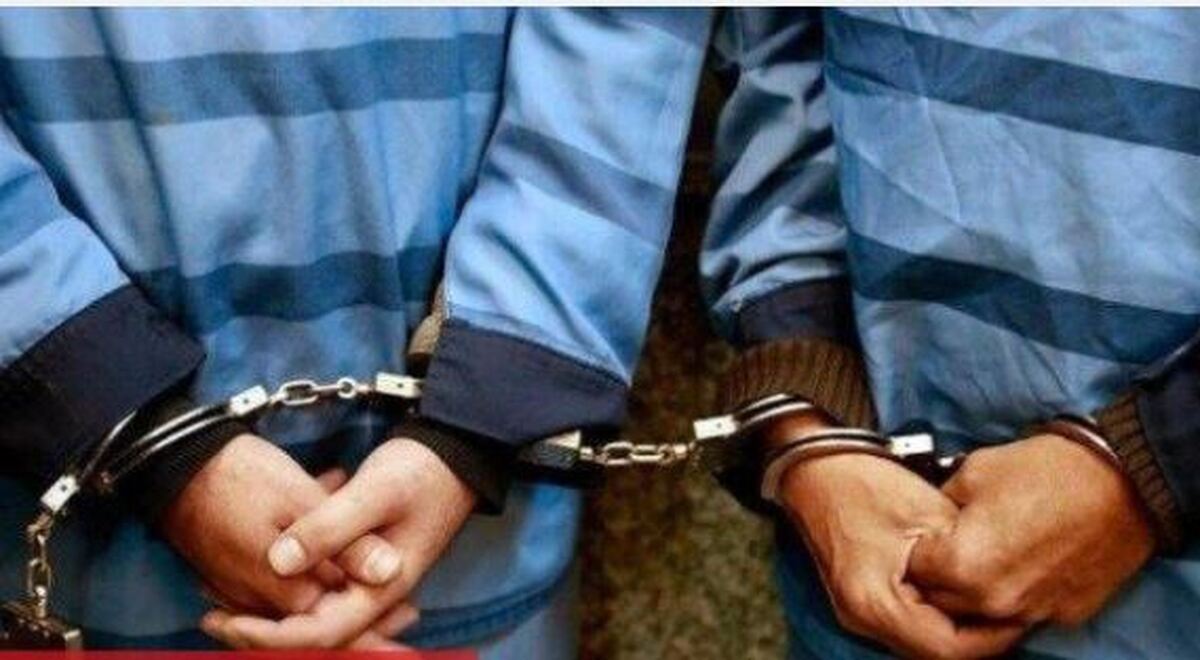 ۲ ضارب سکه‌های تقلبی به دام پلیس افتادند