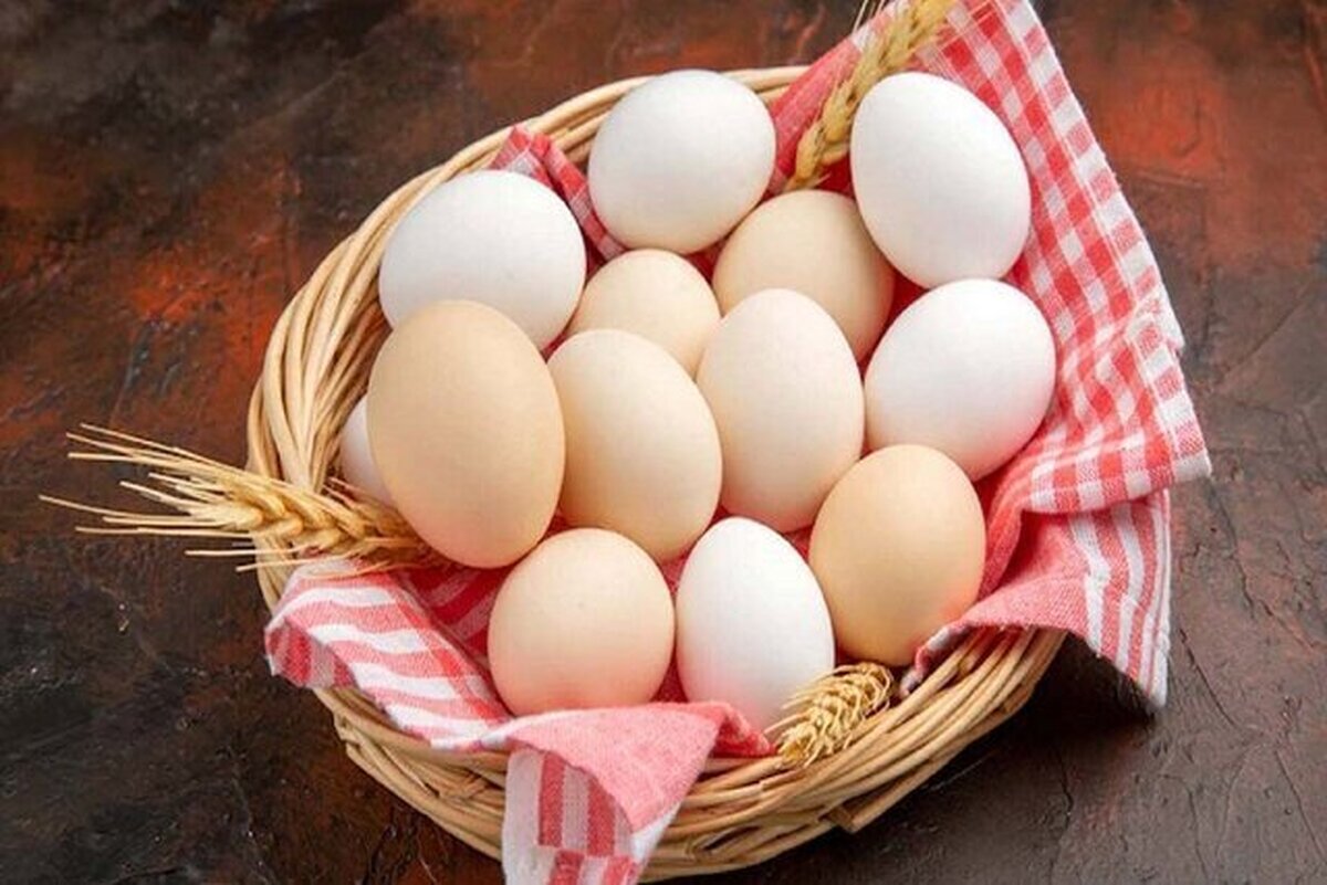 تخم‌مرغ چگونه پروتئین ما را تامین میکند؟