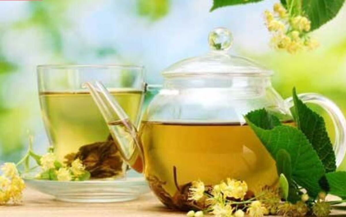 استفاده زیاد از گیاهان دارویی باعث مسمومیت میشود؟